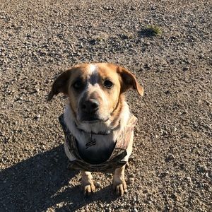 Meet your Posher, Cody